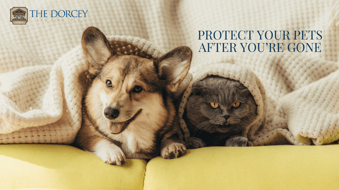 Protect Your Pets After You’re Gone